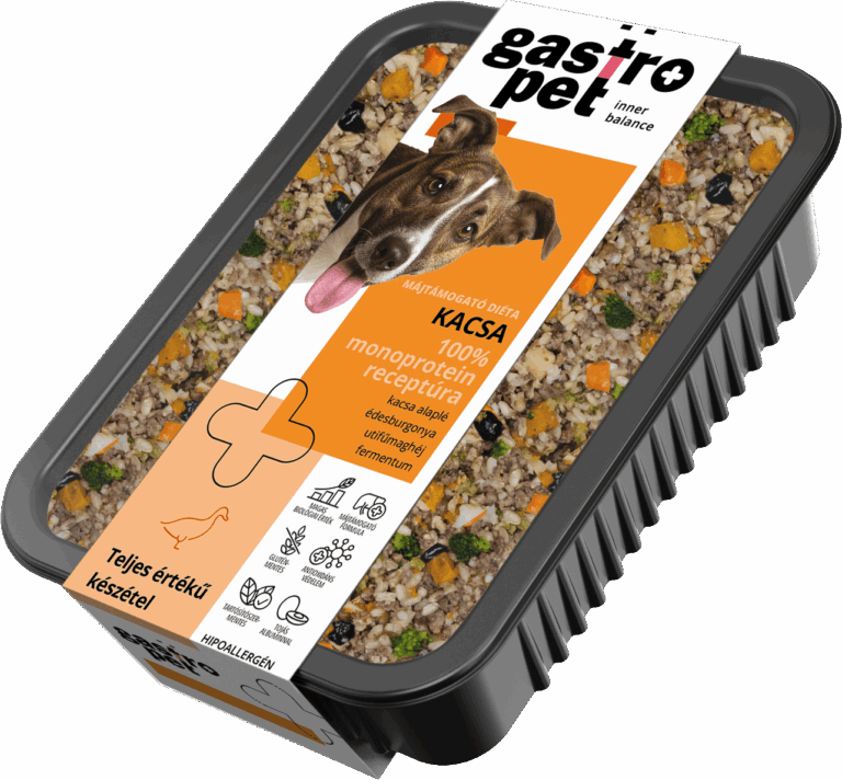 Kacsa Receptúra